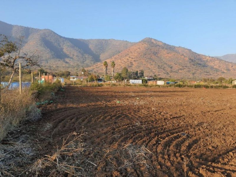 Foto Agricola en Venta en el melon, Nogales, Quillota - $ 65.000.000 - AGV130999 - BienesOnLine