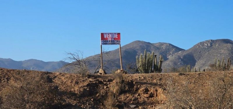 Agricola en Venta en  Coquimbo, Limari