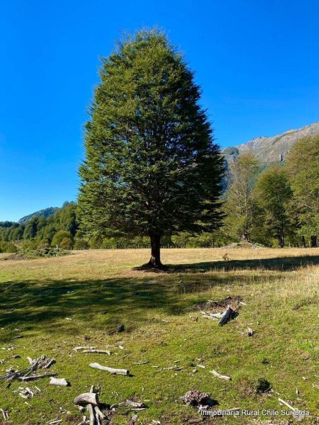 Agricola en Venta en Lago Verde La Junta, Aisen