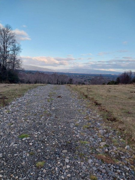 Agricola en Venta en RURAL Cunco, Cautin