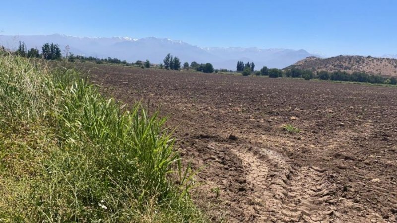 Agricola en Venta en  Calle Larga, Los Andes