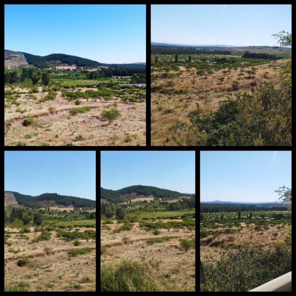 Agricola en Venta en  San Javier, Linares