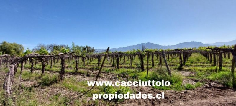 Agricola en Venta en  Santa María, San Felipe de Aconcagua