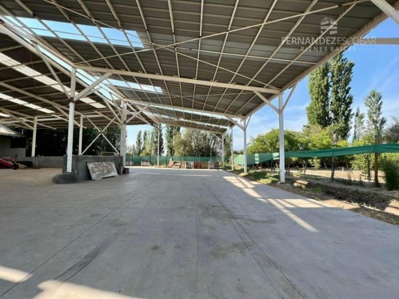 Agricola en Venta en  Santa María, San Felipe de Aconcagua