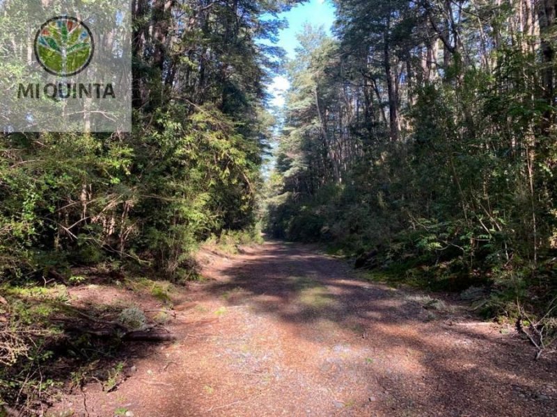 Parcela en Venta en Coñaripe Panguipulli, Valdivia