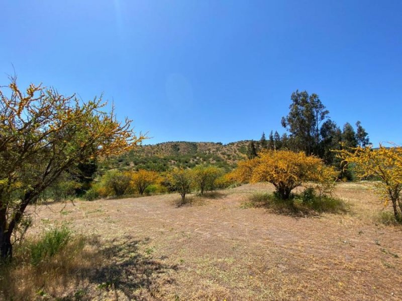 Foto Terreno en Venta en Rural, Melipilla, Melipilla - 30 hectareas - $ 1.500.000.000 - TEV134793 - BienesOnLine