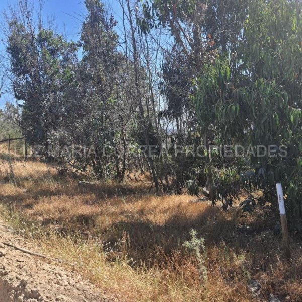 Foto Terreno en Venta en Limache, Quillota - $ 75.000.000 - TEV136210 - BienesOnLine