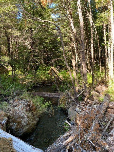 Terreno en Venta en Camino los Cajones Panguipulli, Valdivia