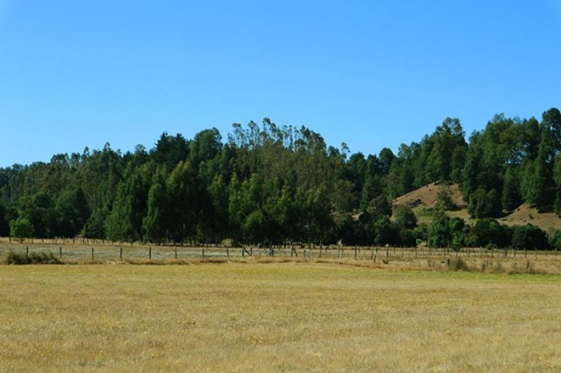 Terreno en Venta en  Los Lagos, Valdivia