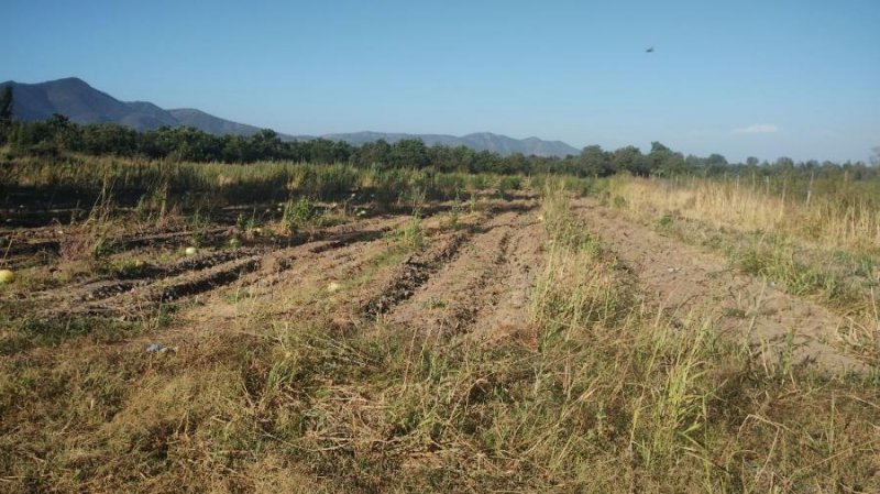 Terreno en Venta en Zuñiga Zuñiga, Cachapoal