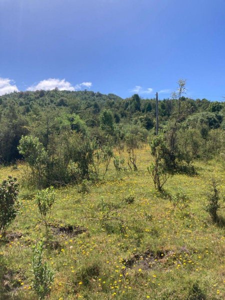 6 Hectáreas de Terreno en San Antonio de Chadmo, camino a Quellón