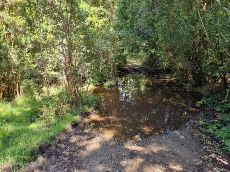 Terreno en Venta en CAÑITAS Los Muermos, Llanquihue