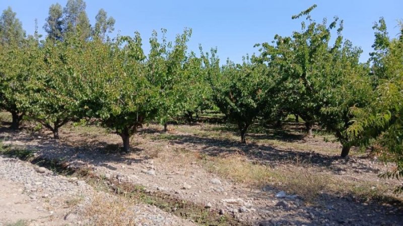 Terreno en Venta en RURAL San Felipe, San Felipe de Aconcagua