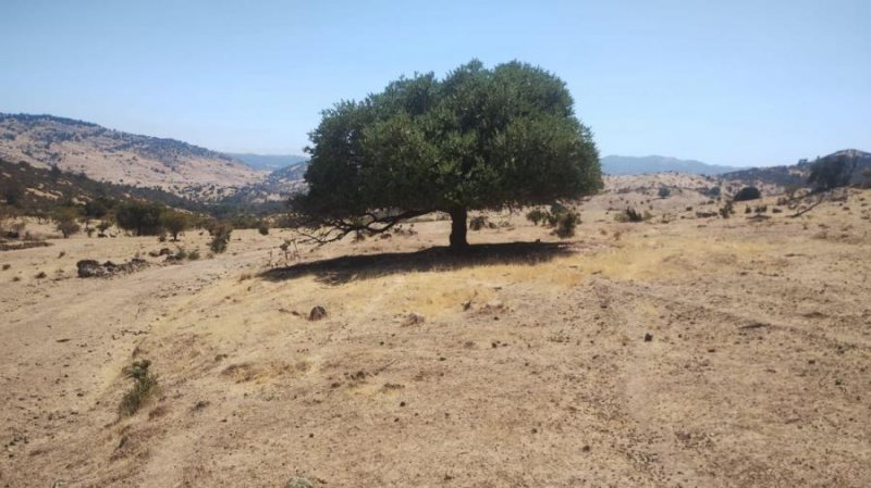 Terreno en Venta en Caones Hualañé, Curicó