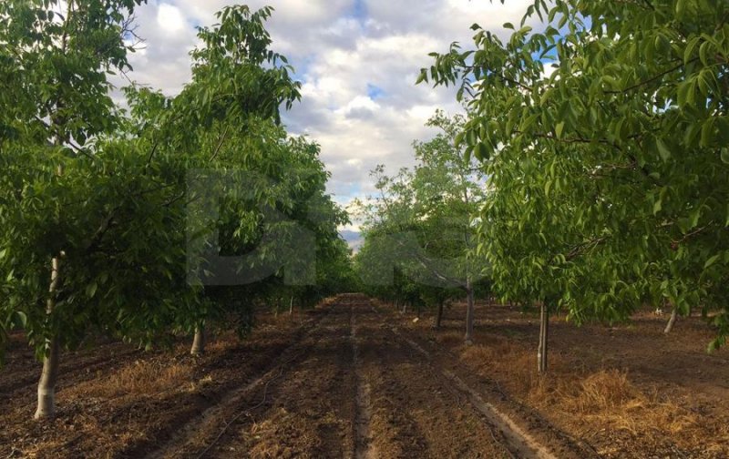 Loteo en Venta en  Putaendo, San Felipe de Aconcagua