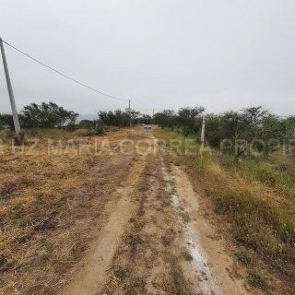 Terreno en Venta en  Limache, Quillota