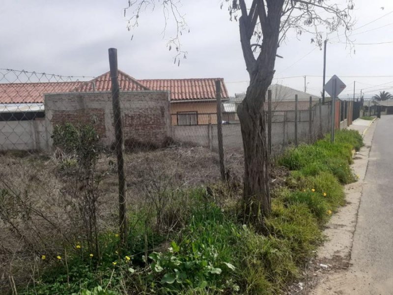 Terreno en Venta en Limache Calle dieciocho de Septiembre, Valparaiso