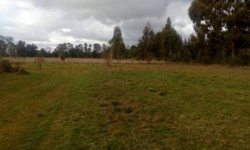 Foto Terreno en Venta en Ruta 215, Puyehue, Osorno - 10 hectareas - $ 400.000.000 - TEV132093 - BienesOnLine