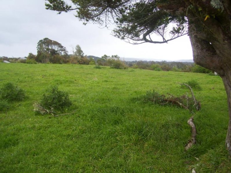 Foto Agricola en Venta en Carelmapu, Llanquihue - $ 1.000.000 - AGV6613 - BienesOnLine