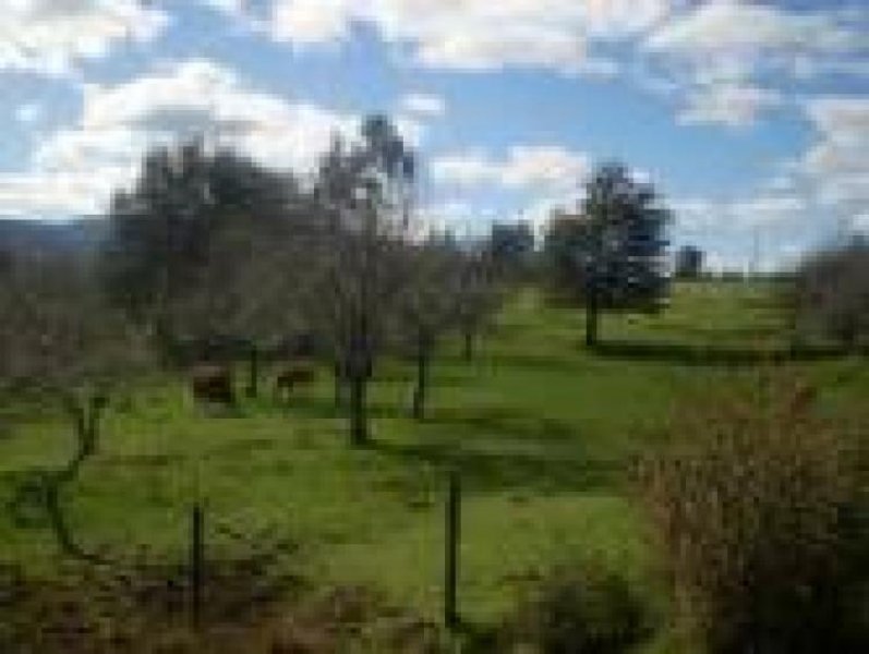 Foto Agricola en Venta en Osorno, Osorno - $ 145.000.000 - AGV4901 - BienesOnLine