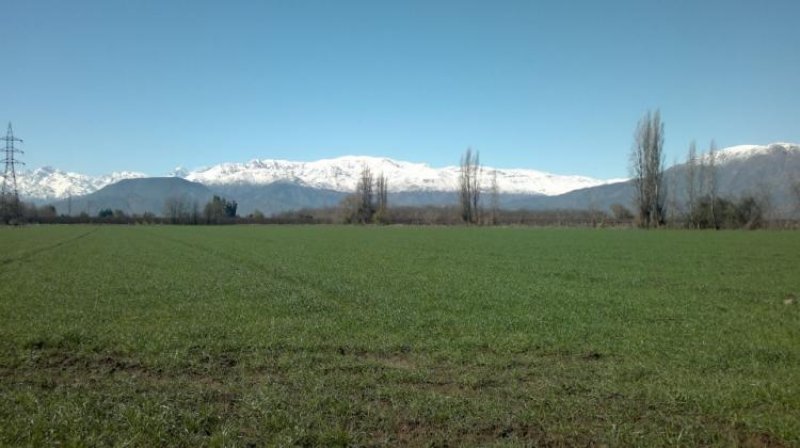 Foto Agricola en Venta en LOS VILLARES, Rinconada, Los Andes - 5 hectareas - AGV16738 - BienesOnLine