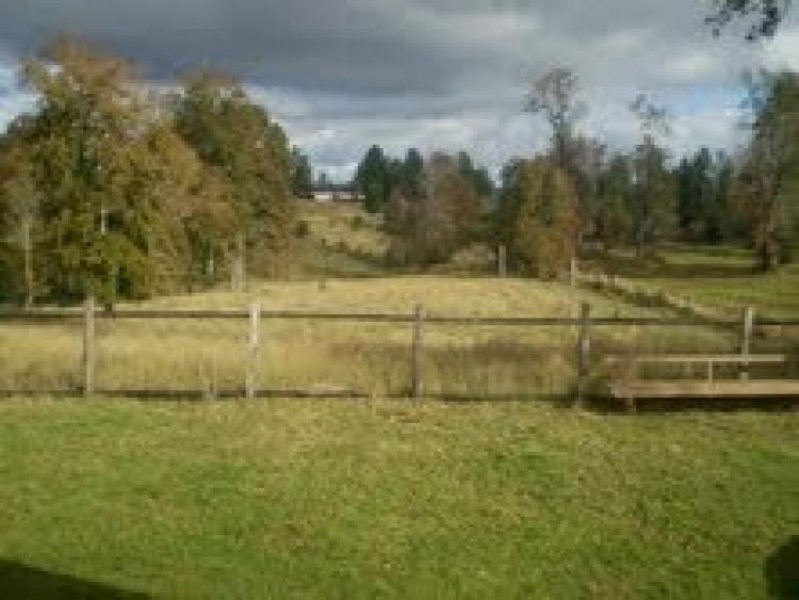 Foto Agricola en Venta en VENDO CAMPO DE 30 HAS CAMINO REAL, Osorno, Osorno - $ 75.000.000 - AGV5373 - BienesOnLine