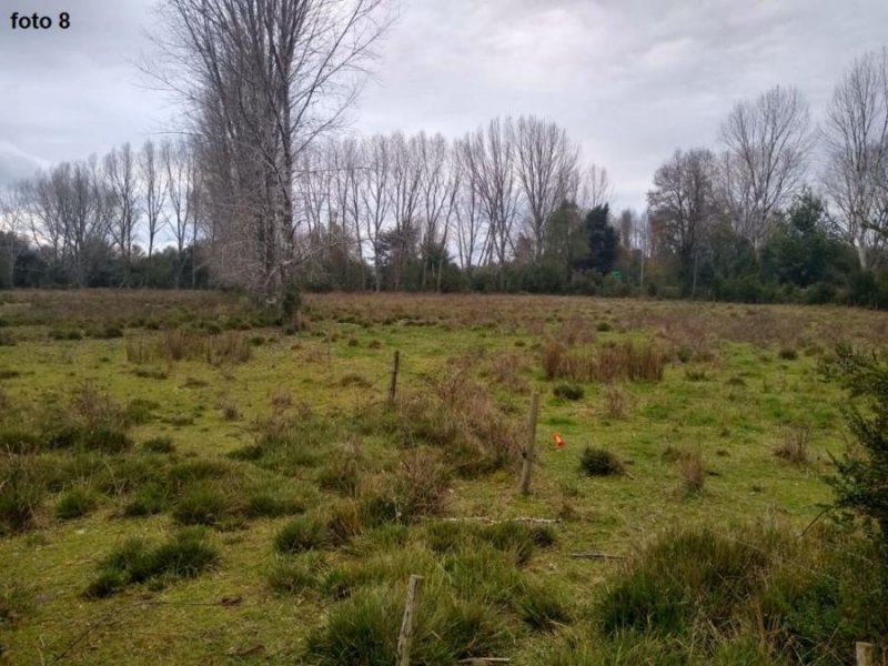 Terreno en Venta en Valdivia-Mariquina Mariquina, Valdivia