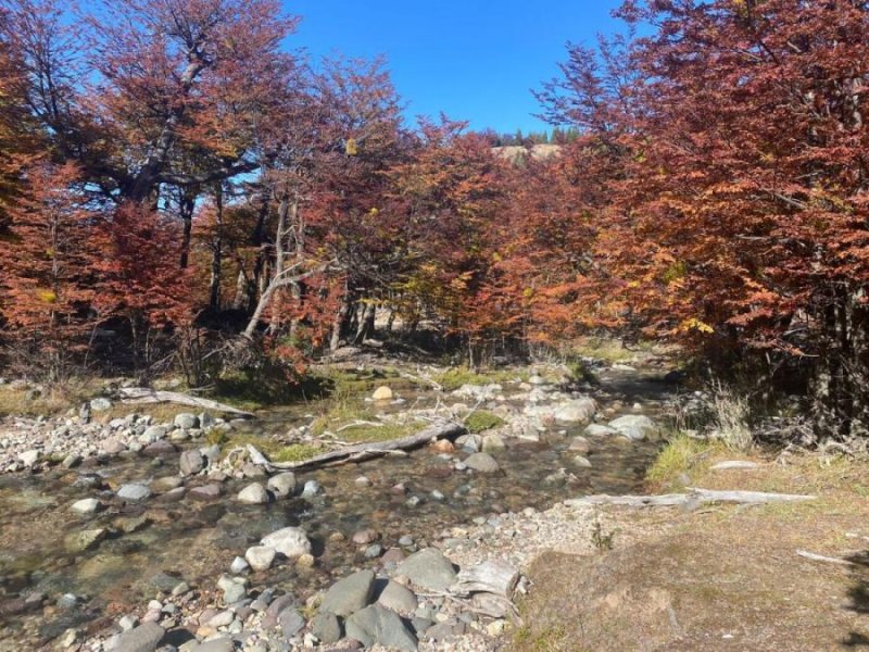 5 has. orilla de camino y río a 50 minutos de Coyhaique