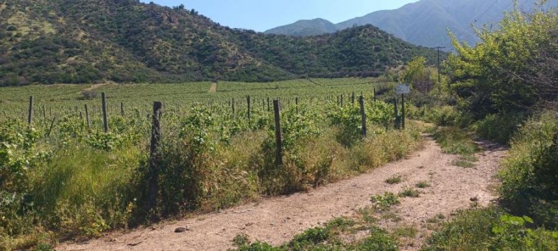 Agricola en Venta en  San Fernando, Colchagua