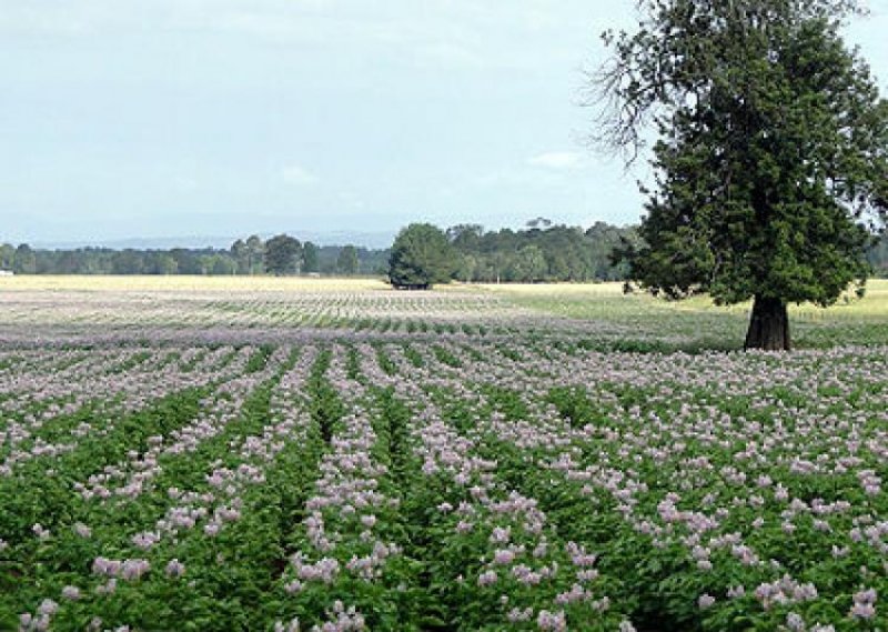 Foto Agricola en Venta en Los Lagos, Valdivia - $ 2.147.483.647 - AGV63473 - BienesOnLine