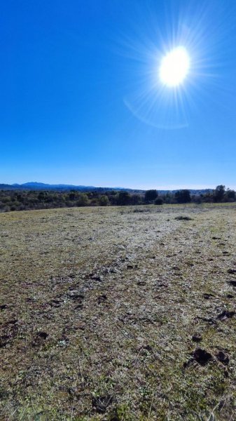 Terreno en Arriendo en  Chillán, Ñuble