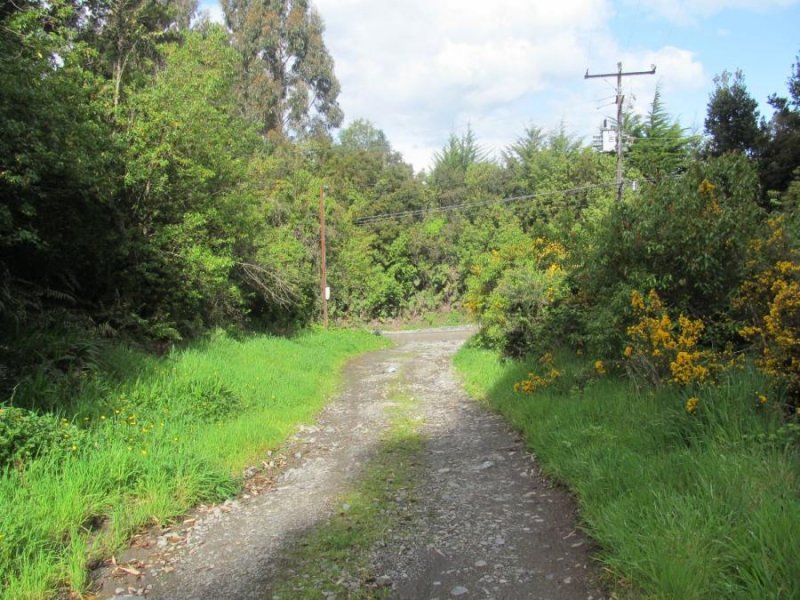 Terreno en Venta en Pelluco Puerto Montt, Llanquihue