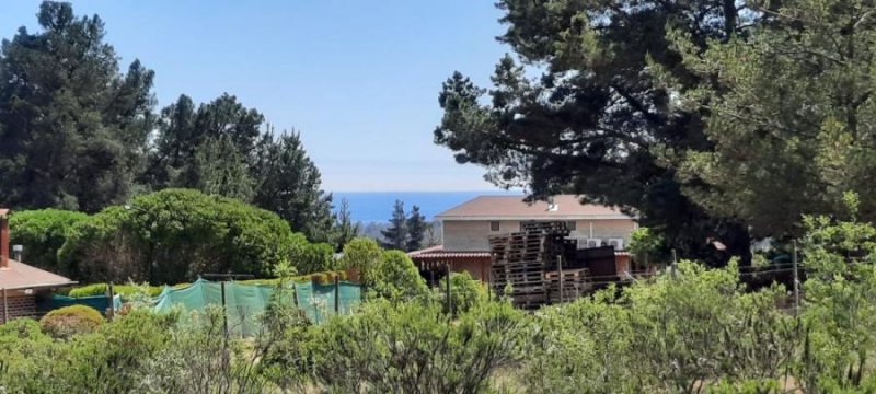 Parcela en Venta en  Algarrobo, San Antonio