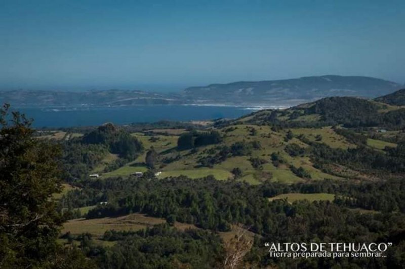 Foto Parcela en Venta en Ancud, Chiloe - $ 11.000.000 - PAV92714 - BienesOnLine