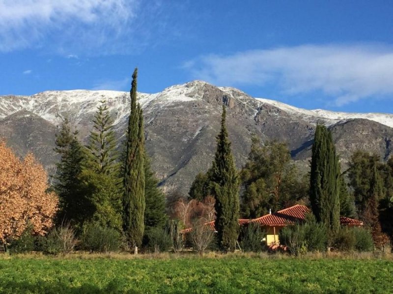 Terreno en Venta en  Calle Larga, Los Andes