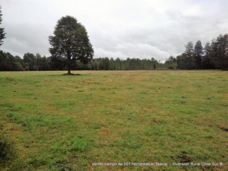 Agricola en Venta en Puerto Montt Puerto Montt, Llanquihue