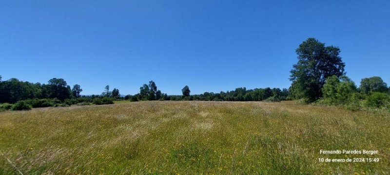 Agricola en Venta en  Fresia, Llanquihue