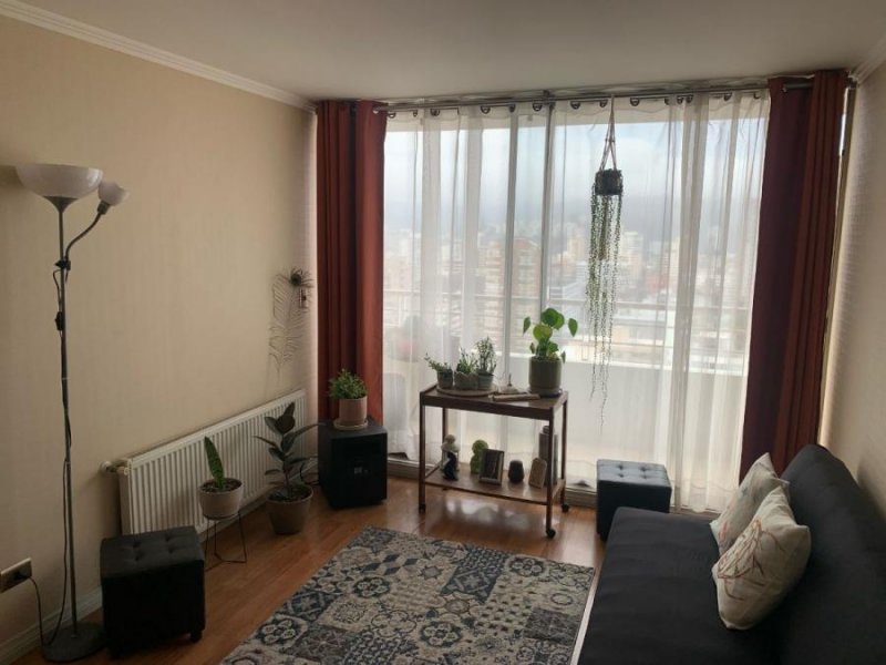 Departamento en Arriendo en PLAN DE VIÑA Viña del Mar, Valparaiso