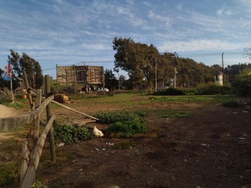 Terreno en Arriendo en  Concón, Valparaiso