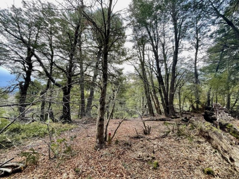 Parcela en Venta en  Pinto, Ñuble