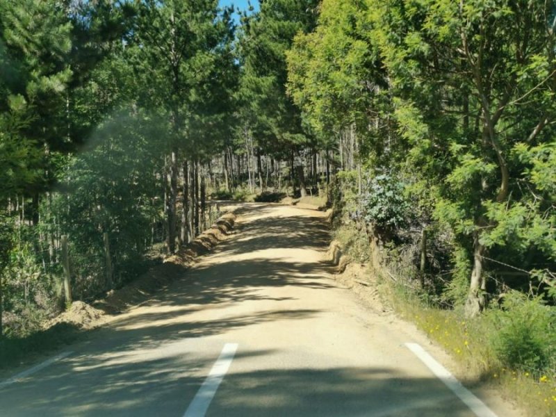 Parcela en Venta en Bucalemu Bucalemu, Cardenal Caro