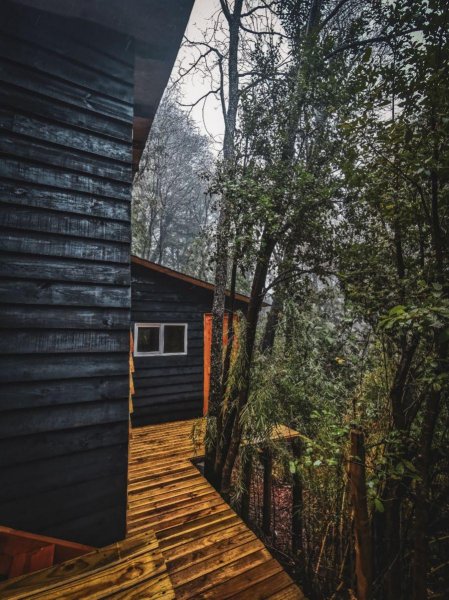 CABAÑA DE MONTAÑA,RIO,VIVE DENTRO DE UN BOSQUE NATIVO PATAGÓNICO