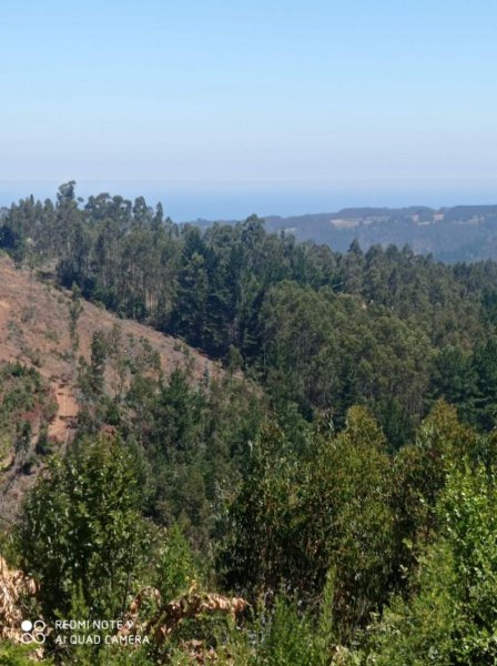 Parcela en Venta en EL CASTANO Cobquecura, Ñuble