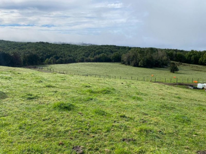 Foto Terreno en Venta en Rural, Quechu Alto - Queilen, Chiloe - 58 hectareas - $ 989.520.000 - TEV129030 - BienesOnLine