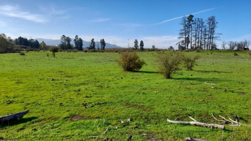 Agricola en Venta en  San Rafael, Talca