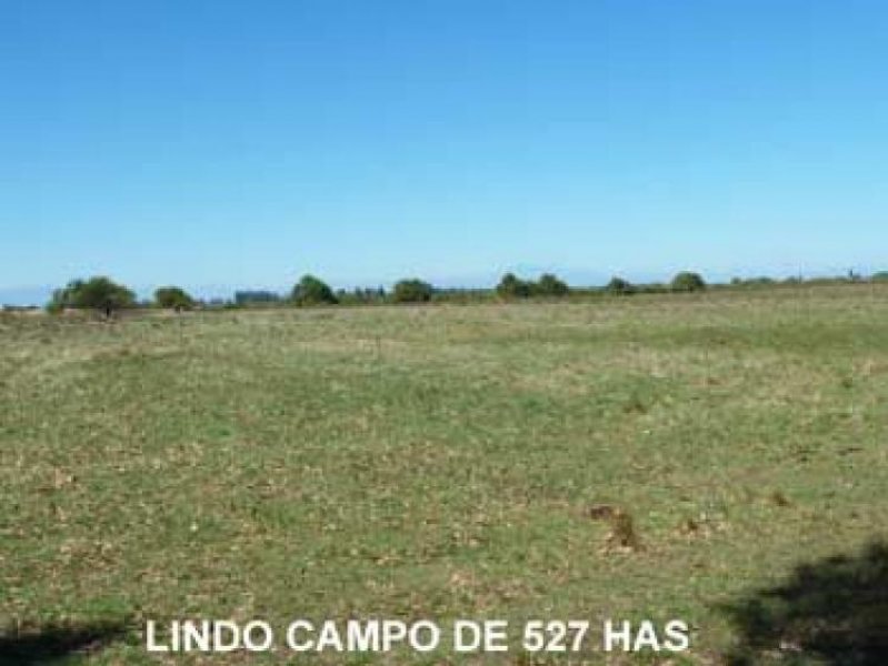 Foto Agricola en Venta en Chillán, Ñuble - $ 6.500.000 - AGV62421 - BienesOnLine