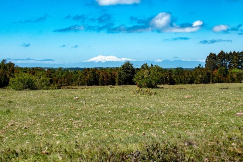 Campo de 75 hectáreas sector Ilque a 30 minutos de Puerto Montt 