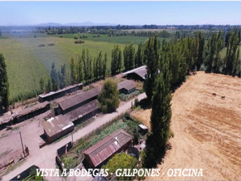 Foto Agricola en Venta en Longaví, Linares - $ 16.000.000 - AGV71721 - BienesOnLine