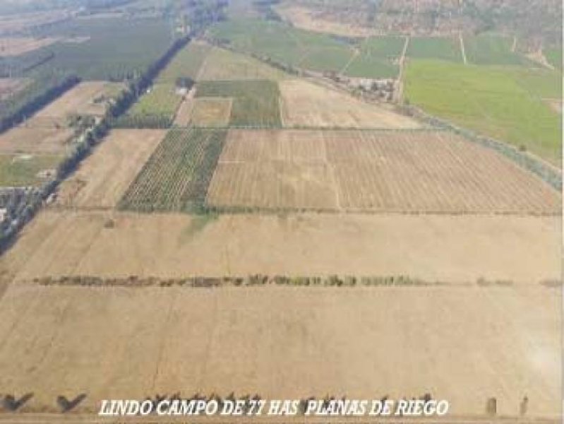 Foto Agricola en Venta en Codegua, Cachapoal - $ 32.000.000 - AGV71671 - BienesOnLine