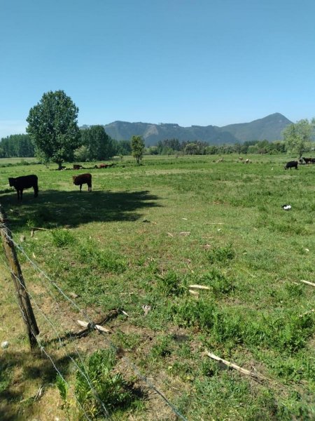 Agricola en Venta en La calor San Clemente, Talca